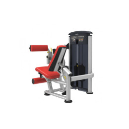 Сгибание / Разгибание Aerofit IT9528