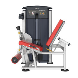 Разгибание ног Aerofit IT9505