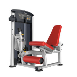 Разгибание ног Aerofit IT9505