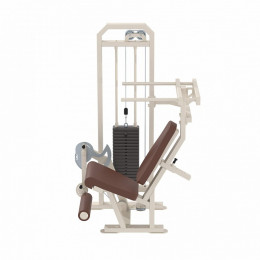 Разгибание ног сидя Iron King KS08