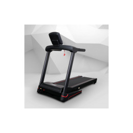 Беговая дорожка Everyfit 74610B