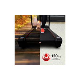 Беговая дорожка Everyfit 74610B