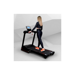 Беговая дорожка Everyfit 74610B