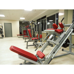 Жим ногами/Гак-машина Aerofit IFLPHS