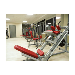 Жим ногами/Гак-машина Aerofit IFLPHS