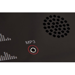 Беговая дорожка Titanium Masters Physiotech TDA