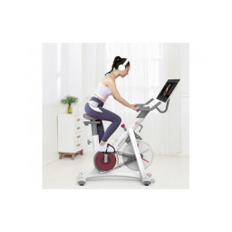 Велотренажер Xiaomi Yesoul BS3-W-21.5 белый (дисплей 21.5")