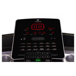 Беговая дорожка Titanium Masters Physiotech TLC