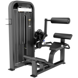 Разгибание спины DHZ E5031 (U3031D)