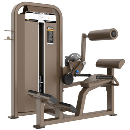 Разгибание спины DHZ E5031 (U3031D)