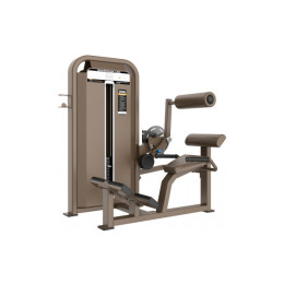 Разгибание спины DHZ E5031 (U3031D)