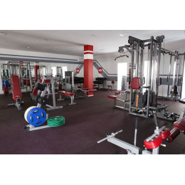 Стойка для олимпийских дисков Aerofit IFPTO