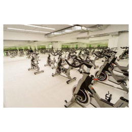 Сайкл Aerofit PS300E