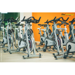 Сайкл Aerofit PS300E