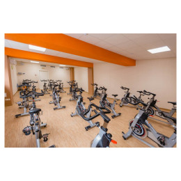 Сайкл Aerofit PS300E