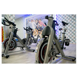 Сайкл Aerofit PS300E