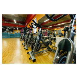 Сайкл Aerofit PS300E