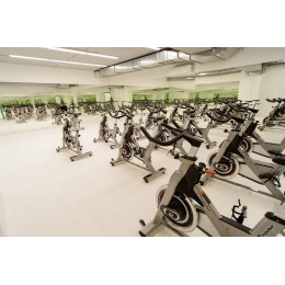 Сайкл Aerofit PS300E