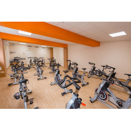 Сайкл Aerofit PS300E