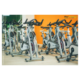 Сайкл Aerofit PS300E