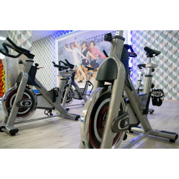 Сайкл Aerofit PS300E