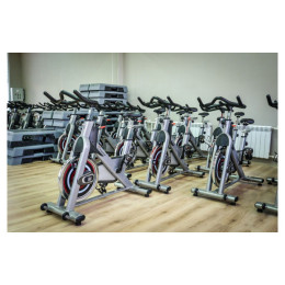 Сайкл Aerofit PS300E