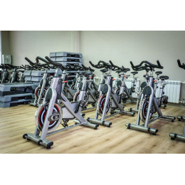 Сайкл Aerofit PS300E