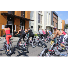 Сайкл Aerofit PS300E