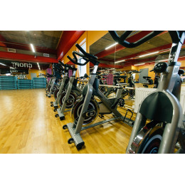 Сайкл Aerofit PS300E