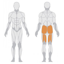 Проработка ягодиц Panatta Master Gluteus 1FE094