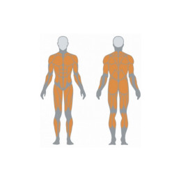 Мультистанция Panatta Jungle machine HLP 1FE120