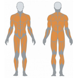 Мультистанция Panatta Jungle machine HLP 1FE120