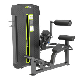 Разгибание спины (Back Extension) DHZ E-4031A