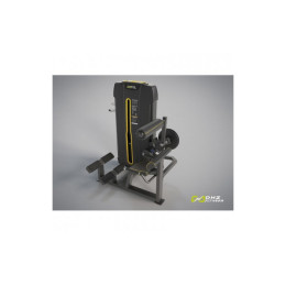 Разгибание спины (Back Extension) DHZ E-4031A