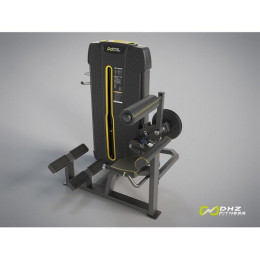 Разгибание спины (Back Extension) DHZ E-4031A