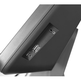 Беговая дорожка Bronze Gym T950 PRO TFT Black hawk