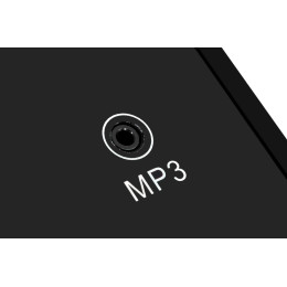 Беговая дорожка Titanium Masters TM Physiotech TCA