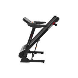 Беговая дорожка Titanium Masters TM Physiotech TCA