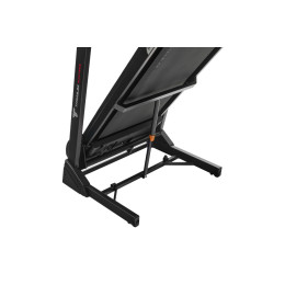 Беговая дорожка Titanium Masters TM Physiotech TCA