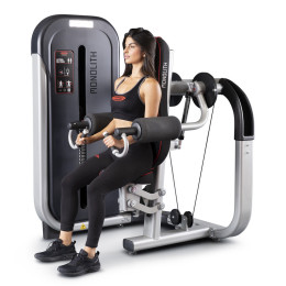 Разведение рук в стороны Panatta 1MTH026