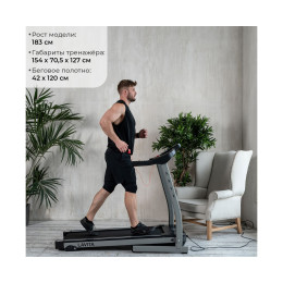 Беговая дорожка DFC Lavita T350