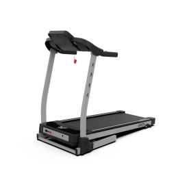 Беговая дорожка DFC Lavita T350