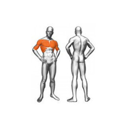 Пек-Бек Panatta (базовый) 1FE035B