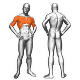 Пек-Бек Panatta (базовый) 1FE035B