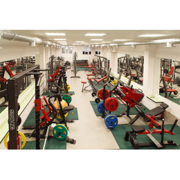 Икроножные сидя Aerofit SL7017