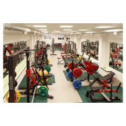 Икроножные сидя Aerofit SL7017