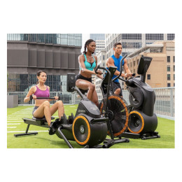 Гребной тренажер Octane RO