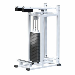 Голень-машина ARMS (стек 100кг) AR022.1