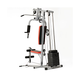 Силовой комплекс DFC HomeGym D7001