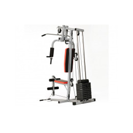 Силовой комплекс DFC HomeGym D7001